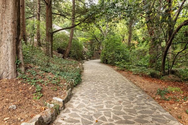 Stone Walkway Repair in Vienna