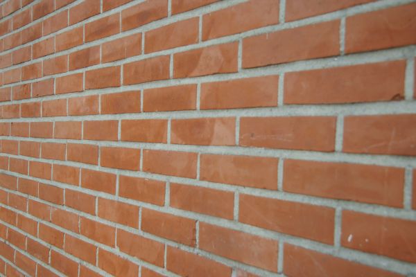 Wall Repointing in Vienna