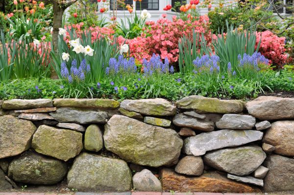 Stone Wall Hardscaping in Vienna