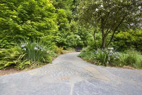 Stone Hardscape Service in Vienna