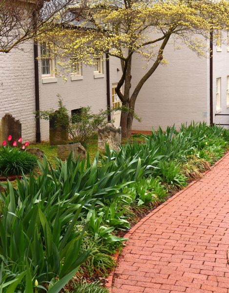 Brick Flatwork Repair in Vienna
